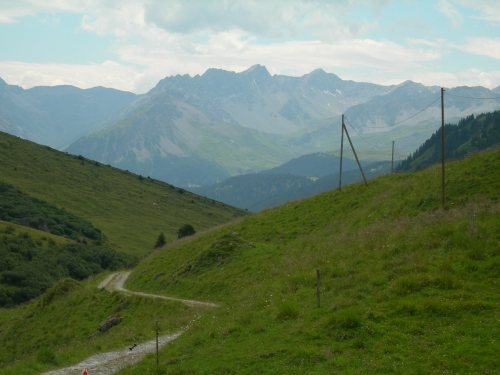 Die Umgebung im Sommer 07